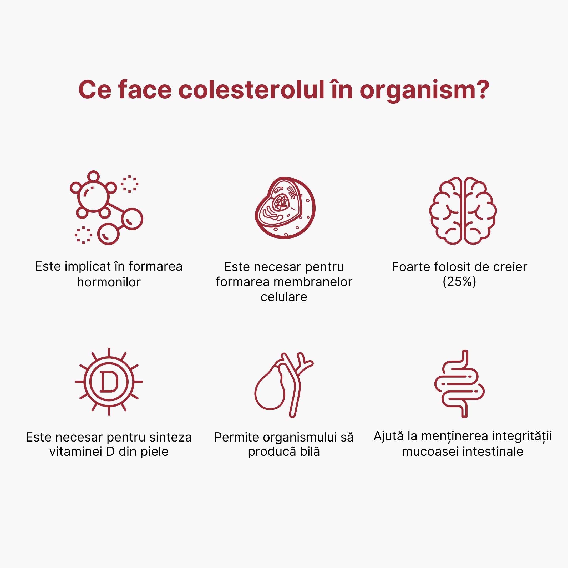 (Rumunština) Co má v těle na starost cholesterol